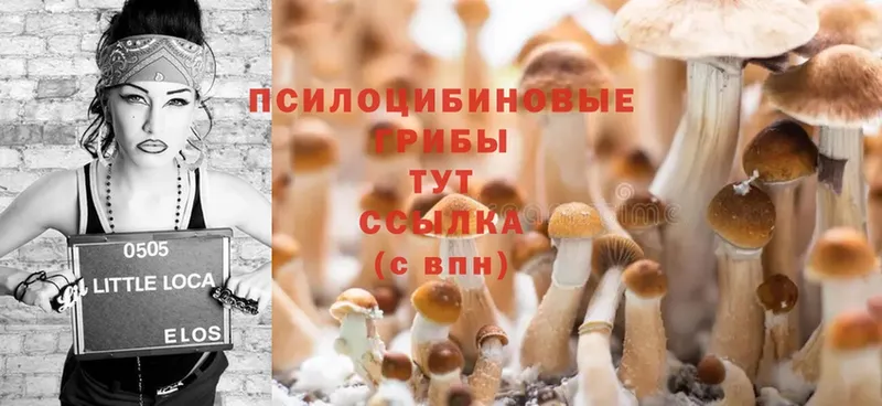 Псилоцибиновые грибы Magic Shrooms  где купить наркотик  Коммунар 